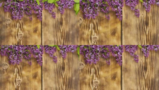 新鲜芬芳的紫丁香树枝躺在烧焦的木质背景上高清在线视频素材下载