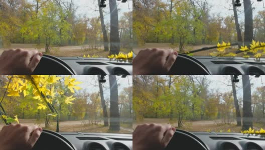 黄色的秋叶在汽车前玻璃上。雨刷上的黄叶。从车里看高清在线视频素材下载
