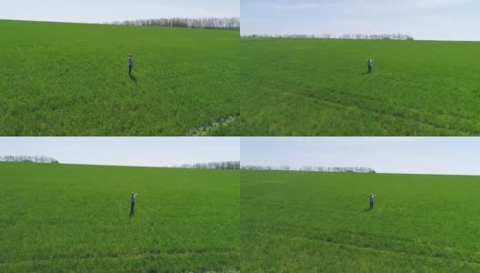 无忧无虑的成熟男人在绿色的田野上张开双臂高清在线视频素材下载