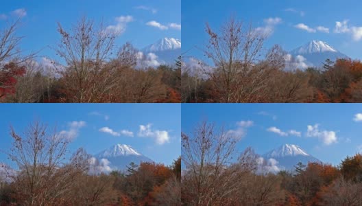 美丽的富士山与枫树在秋天的日本高清在线视频素材下载