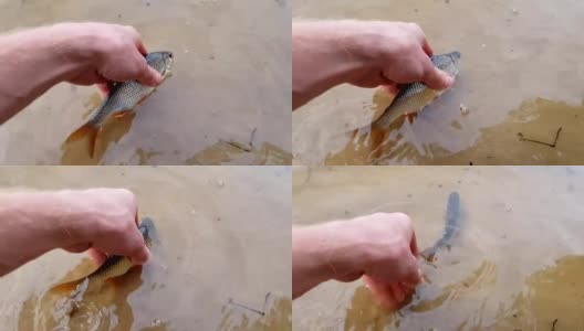 渔夫手中的鱼高清在线视频素材下载