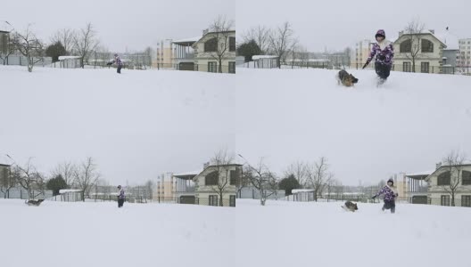 一只德国牧羊犬和一名年轻女子在雪地里奔跑。高清在线视频素材下载