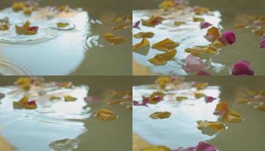 花瓣落在温泉的水中高清在线视频素材下载