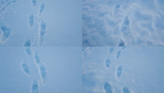 4K脚印踩在雪地上高清在线视频素材下载