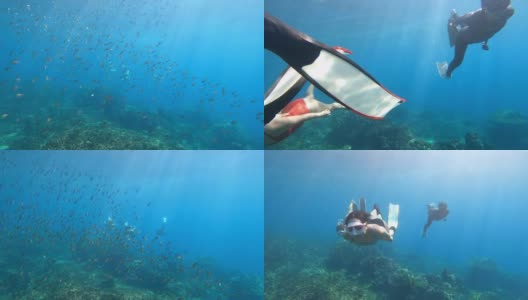4K群免费潜水朋友戴着长纤维鳍和浮潜面罩潜水在清澈的海水珊瑚礁通过相机高清在线视频素材下载