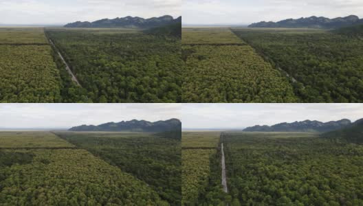 道路穿过一片翠绿的森林，背景是一辆车在山上行驶。高清在线视频素材下载