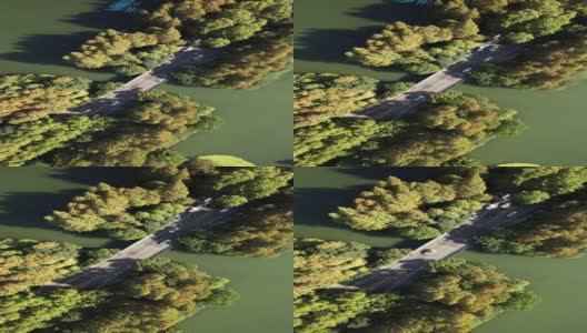 T/L鸟瞰通过湖泊和树木区域的道路高清在线视频素材下载