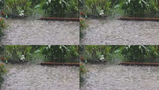 花园里的夏雨。雨后花坛上美丽的花朵。花坛附近的一个大水坑。天气事件。高清在线视频素材下载