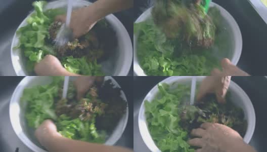 素食:清洗新鲜的沙拉高清在线视频素材下载