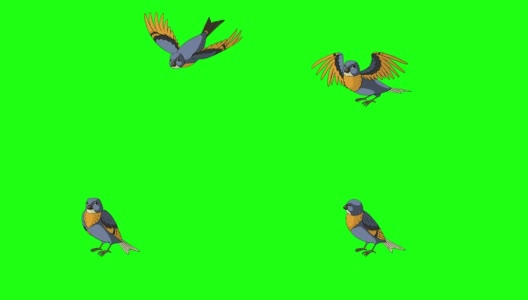 蓝色的鸟飞来了，飞走了高清在线视频素材下载
