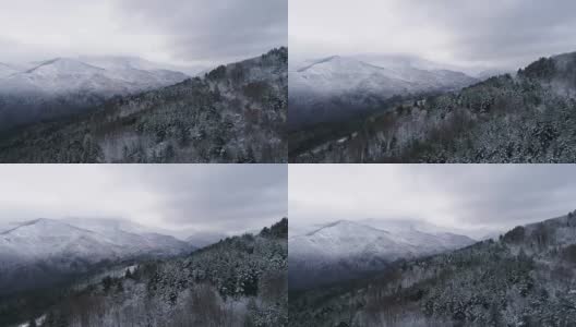 冬季航拍雪山森林高姿态高清在线视频素材下载