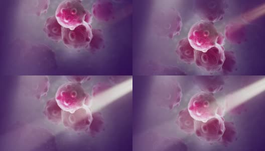 近距离图像的紫色癌细胞束与大束尘埃高清在线视频素材下载