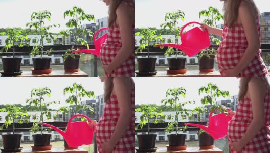 小心孕妇的妻子在平坦的阳台上用喷壶浇花高清在线视频素材下载