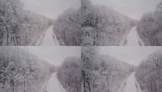 通往结霜森林的路高清在线视频素材下载