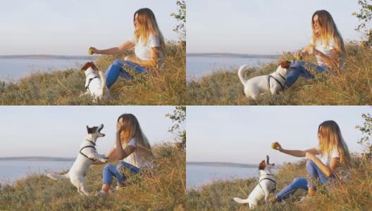 年轻迷人的女人与一只狗杰克罗素在日落与大海背景的草地上玩耍。慢动作高清在线视频素材下载