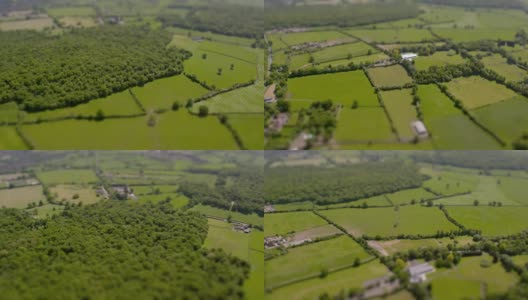 田野和林地鸟瞰图。4K高清在线视频素材下载