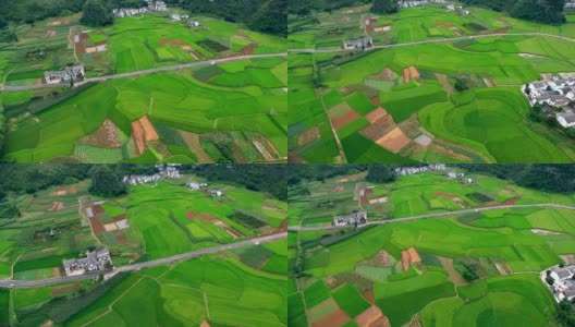 鸟瞰喀斯特山峰森林(万峰林)中的村庄和稻田，贵州，中国。高清在线视频素材下载