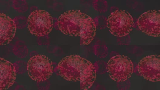 红血球或病毒高清在线视频素材下载