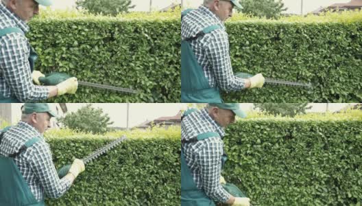 园丁用锯修剪树篱高清在线视频素材下载