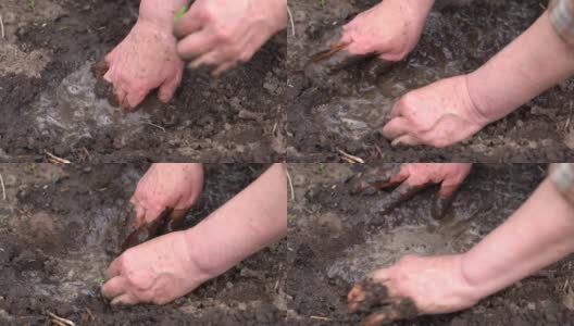 成熟的女人在地里发芽。在菜园里，妇女的双手在土壤中播种高清在线视频素材下载