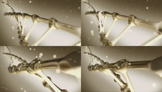 金色DNA螺旋旋转高清在线视频素材下载