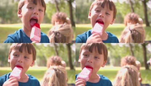 小男孩在公园里愉快地舔着冰淇淋高清在线视频素材下载