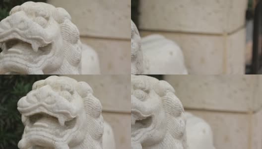 多莉拍摄的狮子雕像高清在线视频素材下载
