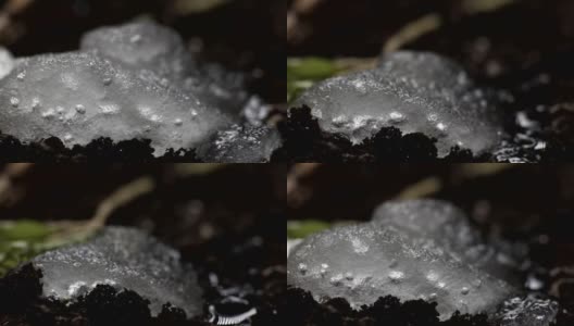 融化的雪/融化的冰/泉水/春天的时间高清在线视频素材下载