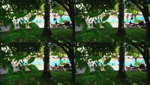 游泳池里的度假者。从热带树木的阴影处看到的景色。高清在线视频素材下载