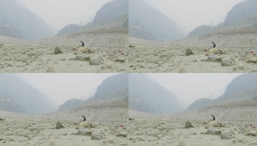 尼泊尔向导在石头上休息。Manaslu电路长途跋涉。高清在线视频素材下载