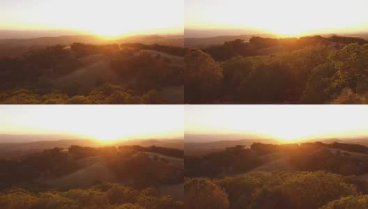 山顶上耀眼的加州落日最后的余晖高清在线视频素材下载