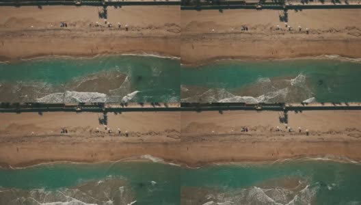 2021年3月春假期间，佛罗里达州棕榈滩海滩上的漂亮的粉红色沙滩伞、人们、棕榈树的阴影高清在线视频素材下载