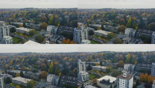 鸟瞰加拿大城市在秋天与黄色和绿色的树木高清在线视频素材下载