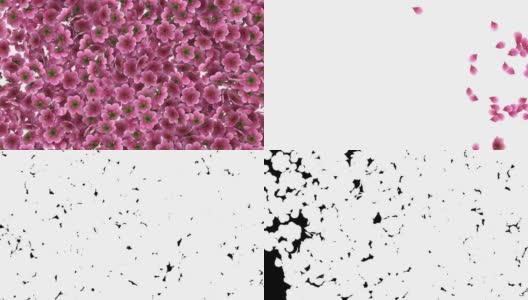 3D动画的粉红色樱花花瓣流动与阿尔法层高清在线视频素材下载