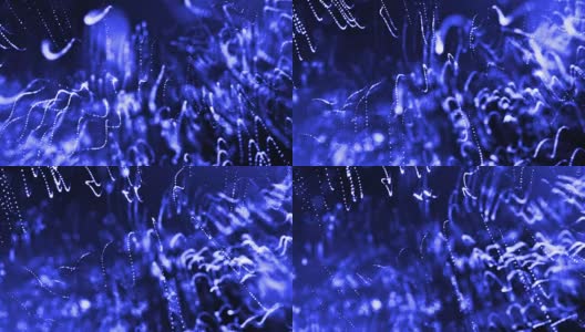 发光粒子的3d渲染循环动画形成摆动线作为摆动的花环作为节日背景或抽象背景的粒子与景深和散景像vj循环。蓝色的20高清在线视频素材下载