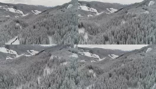 鸟瞰图|冬季和雪域森林|阿尔卑斯山高清在线视频素材下载