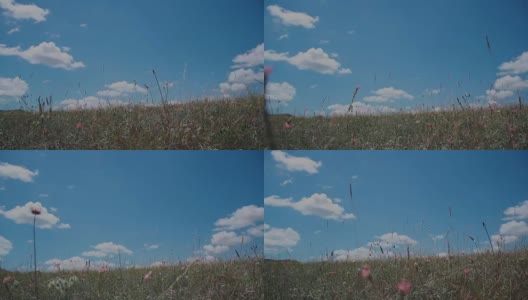 草原景观与白云高清在线视频素材下载