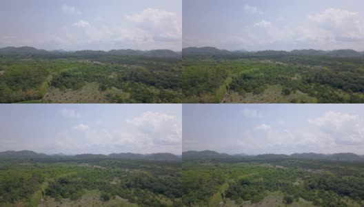 无人机鸟瞰龙眼果园，周围是茂密的绿色热带森林和多山的背景高清在线视频素材下载