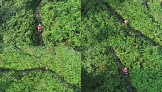 一位超级马拉松选手在热带雨林的山坡上奔跑的鸟瞰图，4k高清在线视频素材下载