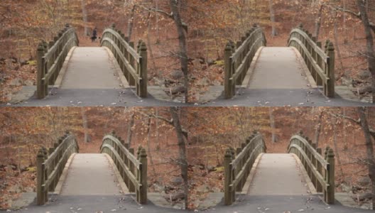 急流桥，遛狗者在小路的背景，跑步者在前景-岩石溪公园-华盛顿特区-秋天高清在线视频素材下载