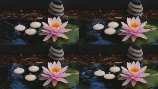 慢动作的平衡卵石石头，小蜡烛和粉红色荷花睡莲花高清在线视频素材下载