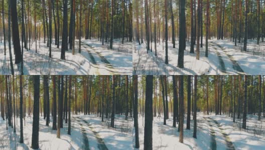 移动沿着肮脏的汽车痕迹躺在雪地上的森林地面高清在线视频素材下载