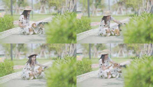 年轻女子在户外玩可爱的小狗高清在线视频素材下载