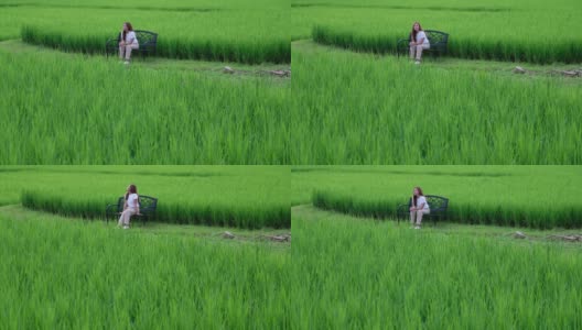 一位年轻女子坐着，看着美丽的稻田和大自然的景色高清在线视频素材下载