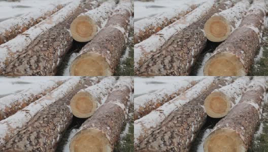 木材工业冬季采伐木材。森林里的树干上堆满了雪。树林里一排排等待运输的原木。冬天劈柴的特写高清在线视频素材下载
