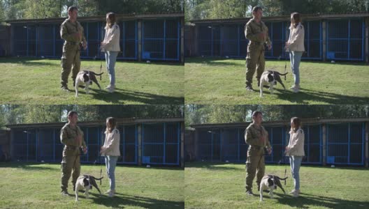在阳光明媚的户外，专业的狗狗学家与抱着美国斯塔福德郡梗狗项圈的年轻白人妇女交谈。宽镜头侧面有信心的教练和主人讨论宠物。高清在线视频素材下载