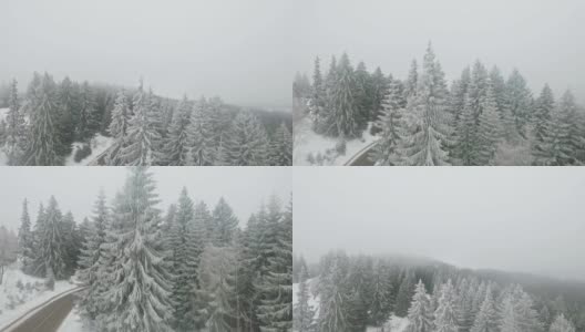 雪域森林鸟瞰图高清在线视频素材下载