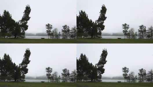 湖多风，秋天雾，雾阴沉高清在线视频素材下载