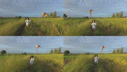 女孩们在田野中间放风筝。高清在线视频素材下载