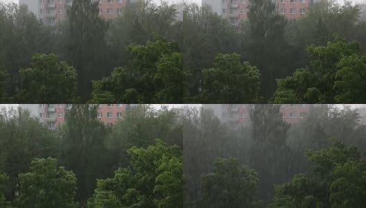 夏季的强降雨伴随着阵风和大气规则，将宣布温和的冷却和给予植物和动物生命的水。高清在线视频素材下载